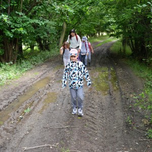 AAA
