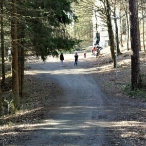 DSC 0061  640x428 