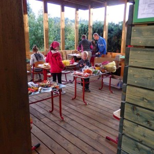 PA060012