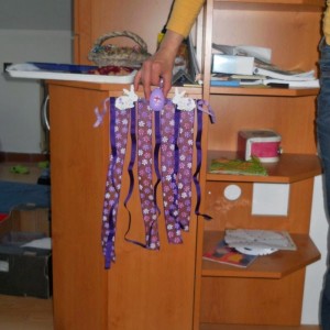 DSCN4520