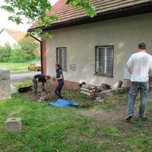 IMG 4010