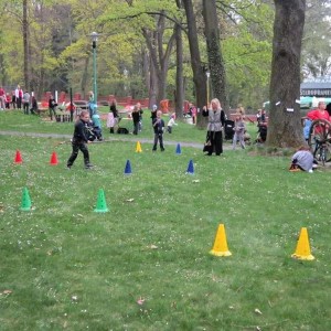 IMG 1331