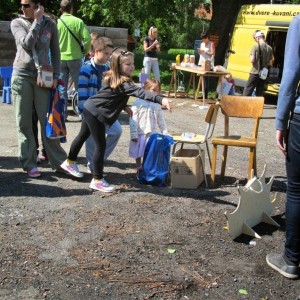 IMG 4984