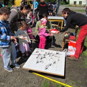 IMG 4991