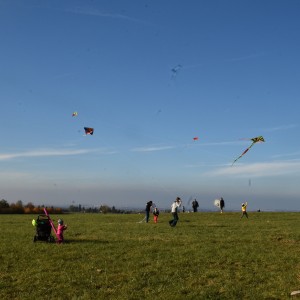 DSC 0705
