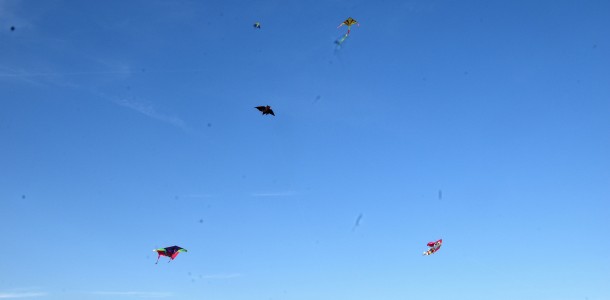DSC 0729