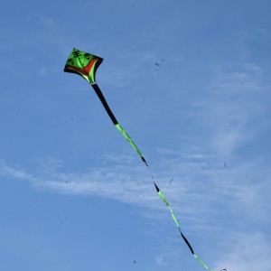 DSC 0736