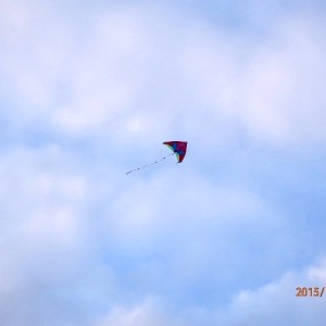 PA260831  640x480 