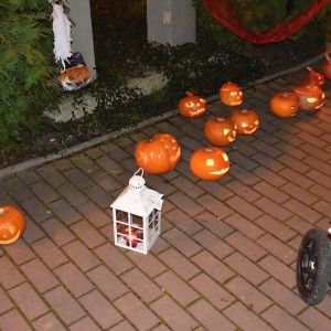 DSC 0188