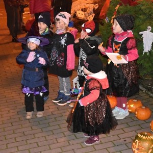 DSC 0201