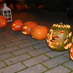 DSC 0222