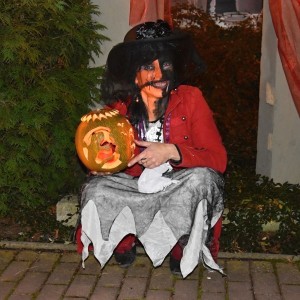 DSC 0274
