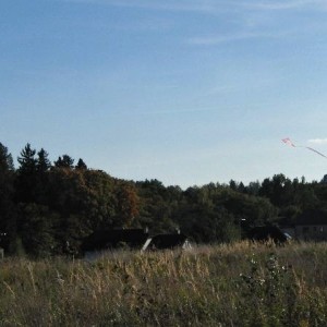 CIMG3203