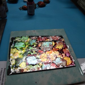 DSC 0038