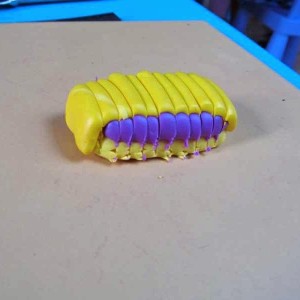 IMG 3606