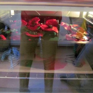 IMG 4131