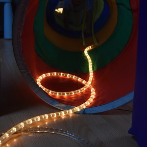 DSC 0011