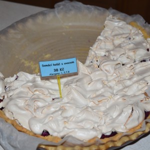 DSC 0146