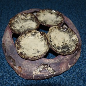 DSC 0062