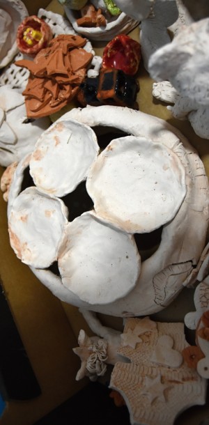 DSC 0229