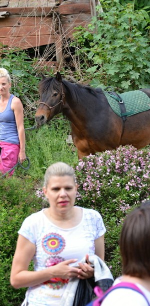 konici1  12 
