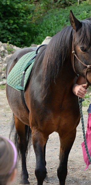 konici1  13 