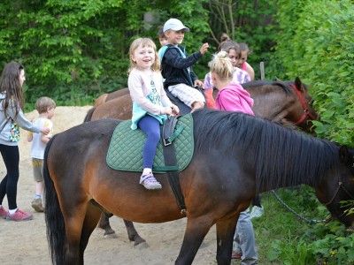 Koníci 14.5.2018