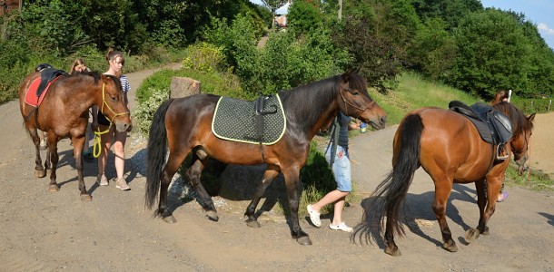 konici3  3 