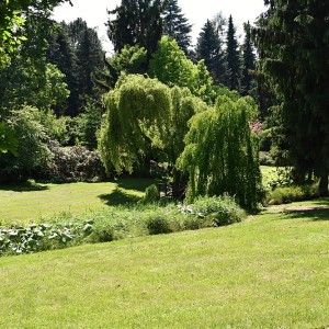 Piknik v Dendrologick   zahrad   5.6  23 