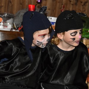DSC 0678
