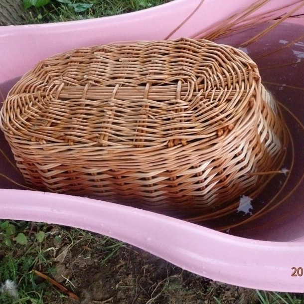 P5240209