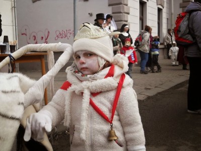 Šešovický masopust 22.2.2014