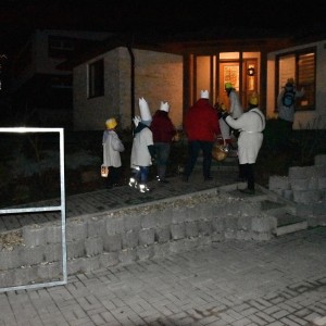 DSC 0138