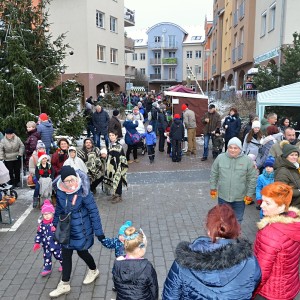 vanoni setkan  17 