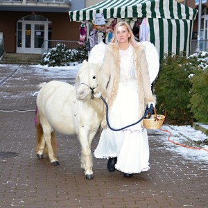 vanoni setkan  53 