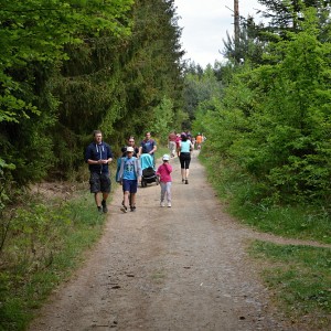 vitani ptaciho zpevu  53 