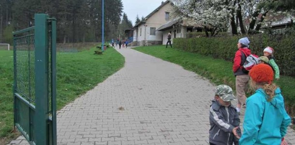 IMG 3005