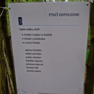 DSCN0980
