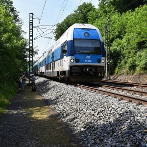 DSC 0124