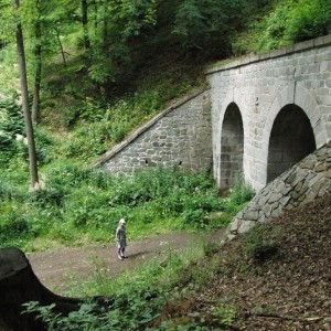 CIMG8850