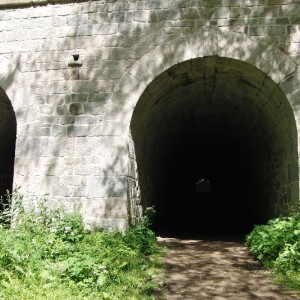 CIMG8851