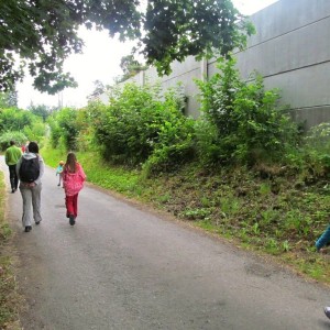 IMG 5559