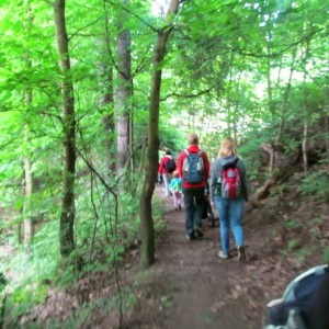 IMG 5578